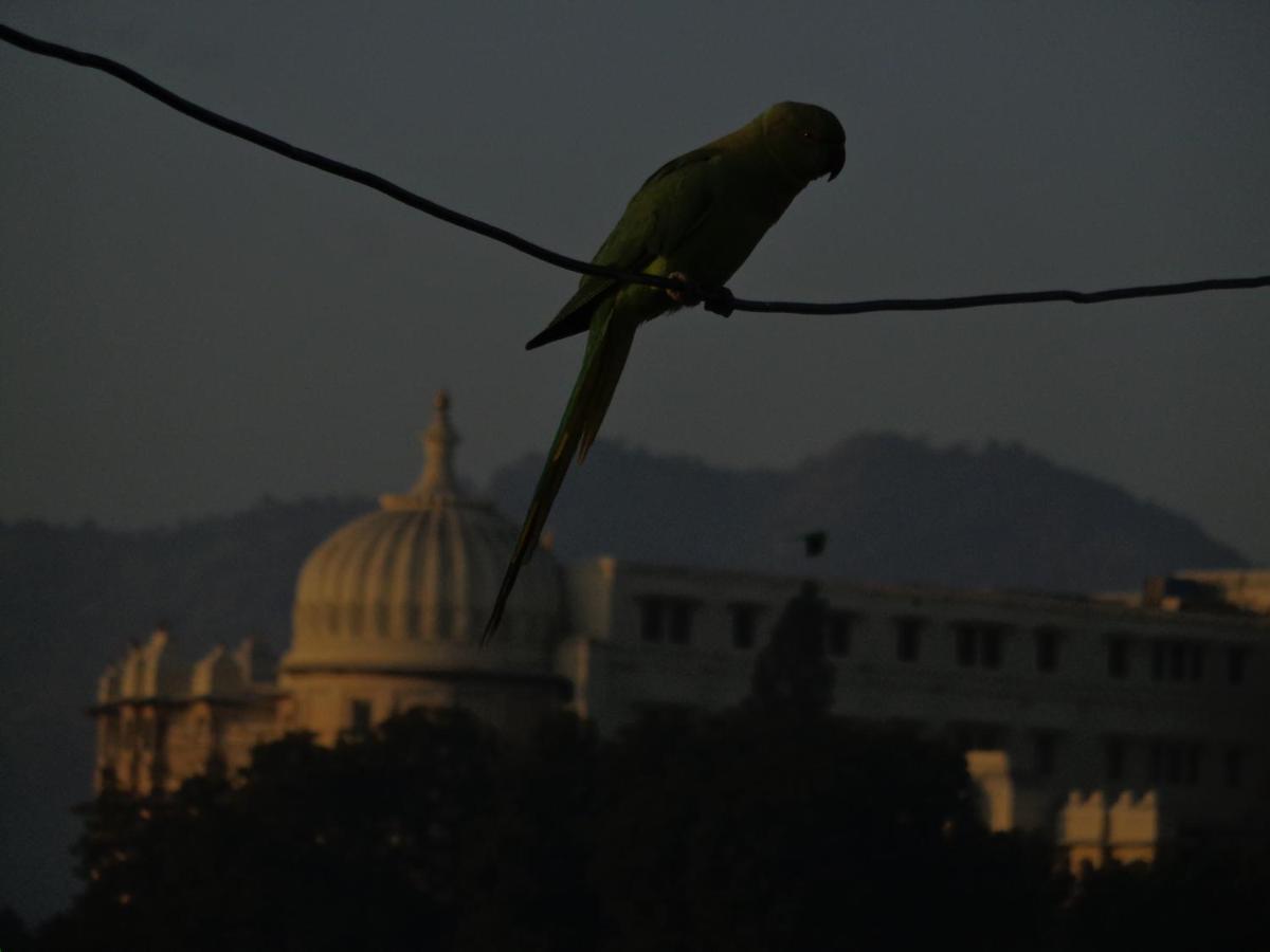 Mohan Villa Guest House Udaipur Exterior photo